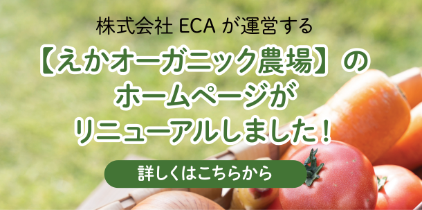 株式会社ECAが運営する【えかオーガニック農場】のホームページがリニューアルしました！詳しくはこちらから